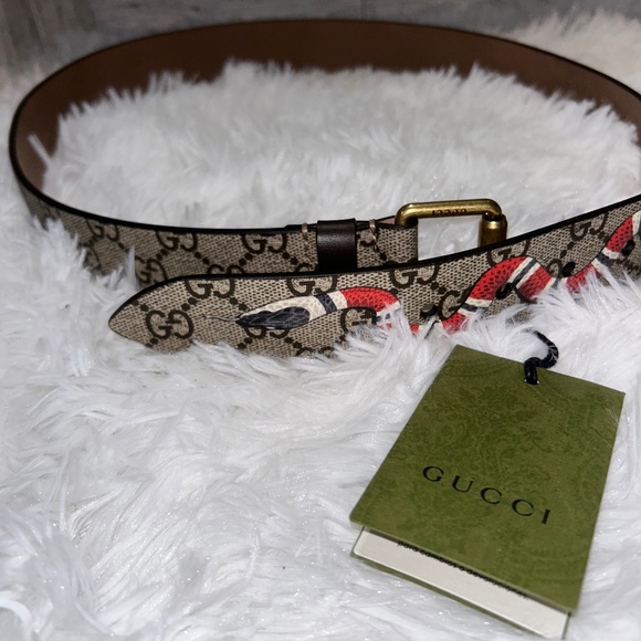 Gucci x Supreme Kingsnake Brown Belt - Picture 1 of 8